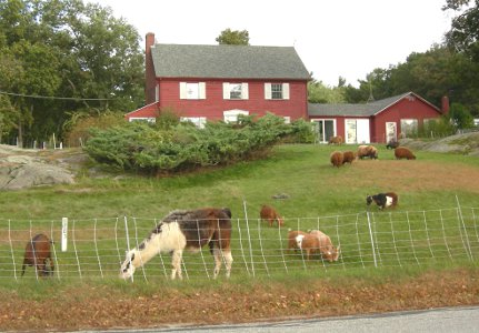 home front yard